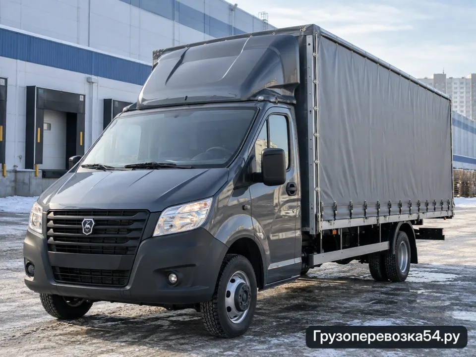 Газель Next 23 м³ · Тент · 3 т — перевозчик Денис, Новосибирск